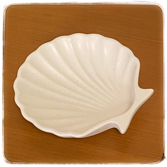 Muschelzauber