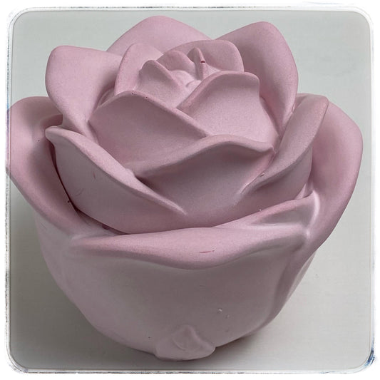 Schatz der Rose rosa